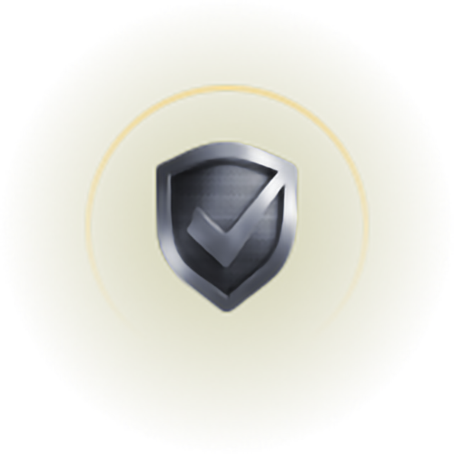 Data Safety
